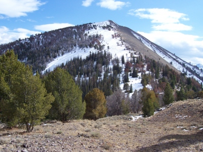 "West Rosencrance Peak"