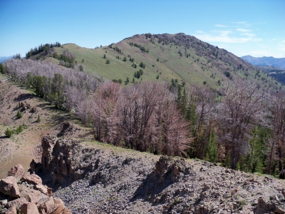 "Mount Ernie Day"