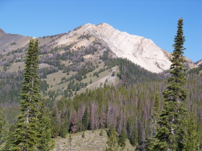 "Ivory Peak"