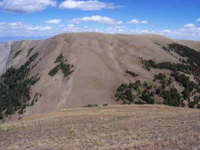 Bare Mountain