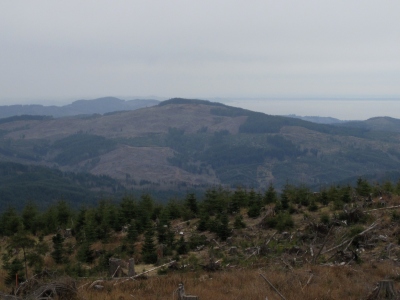 Elk Mountain