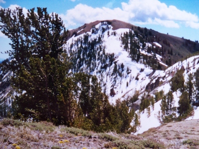 Shaw Mountain