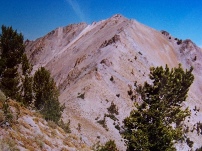 "Basils Peak"