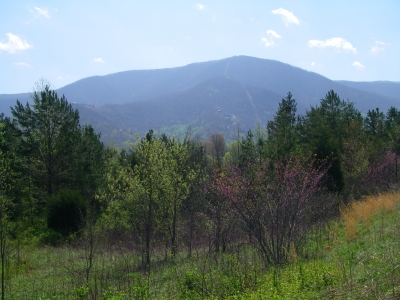 Cove Mountain
