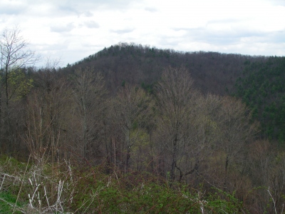 Hogback