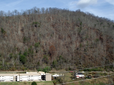 Peach Orchard Mountain
