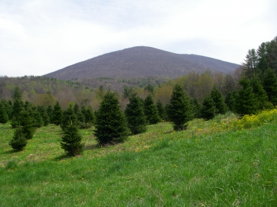Beech Mountain