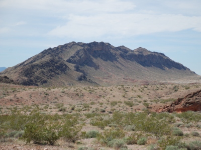 "Walts Ridge"