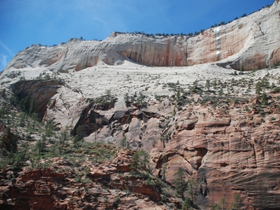 Cathedral Mountain