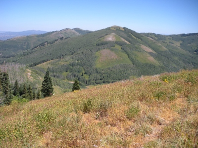 Little Water Peak