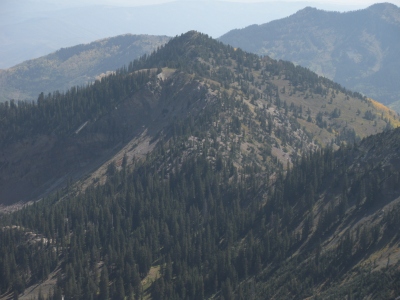 Miller Hill