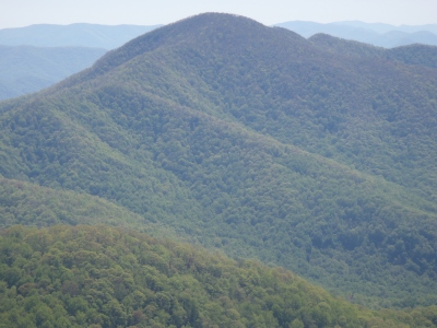 Hightower Bald