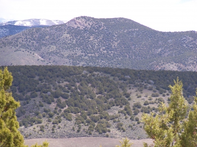 Cedar Hill