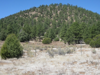 Cerro Candelaria