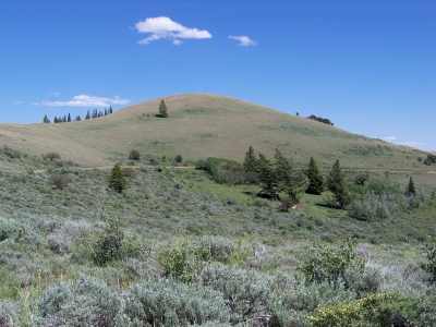 Baldy Mountain