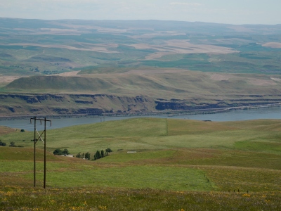 Signal Hill