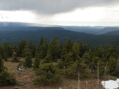 Pinegrass Ridge