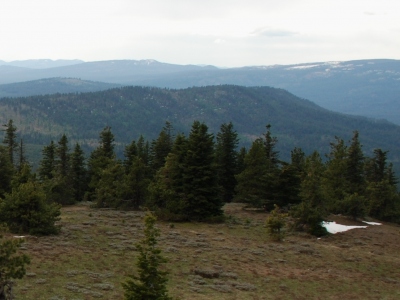 Peavine Ridge