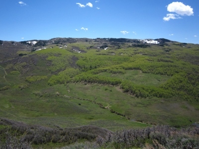 Thorpe Mountain