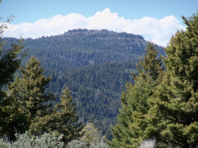 Signal Peak