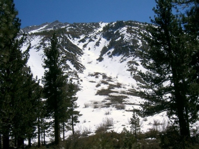 Kid Mountain