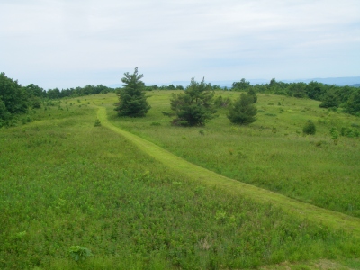 Canadays Ridge