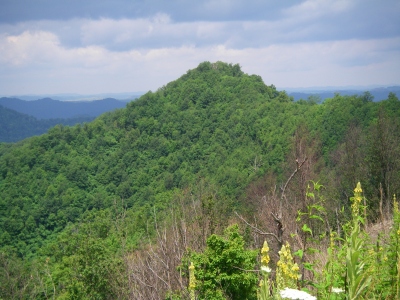 Logan County HP