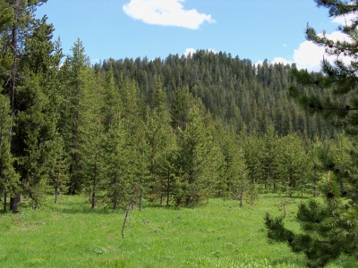 Little Butte