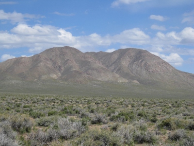 Wilson, Mount