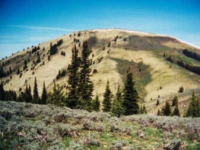 Bald Mountain
