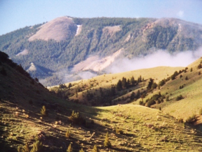 White Pine Ridge