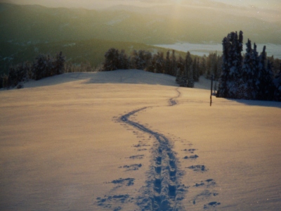 Baldy Knoll
