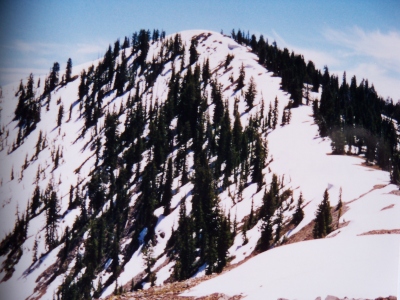 Grayback Ridge