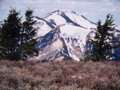 Bradley Mountain