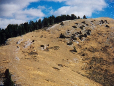 Meadow Creek Mountain