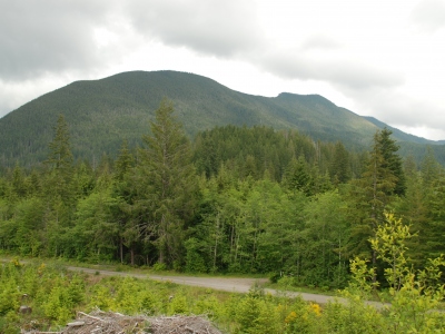 Snider Peak