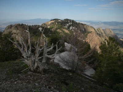 "Wildcat Ridge"
