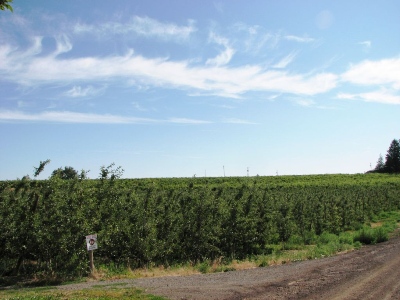 Naches Heights