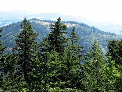 Baldy Peak