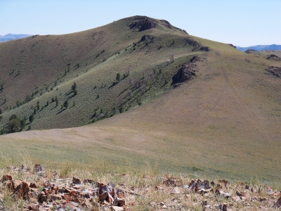 Lupine Mountain