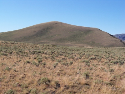 Reed and Davis Benchmark