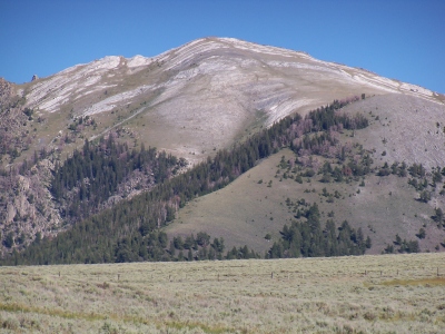 White Knob