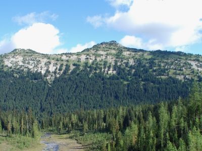 "Tarheel Peak"