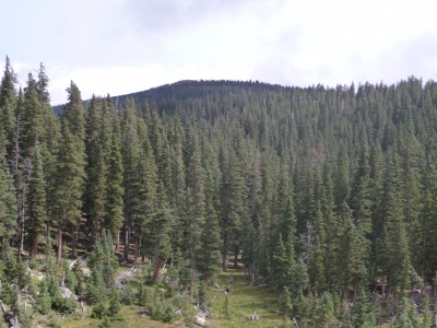 Tunnel Hill