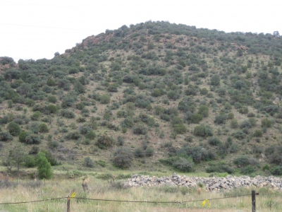 San Jose Mountain
