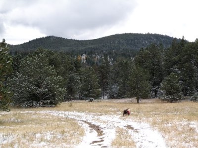 Elk Ridge