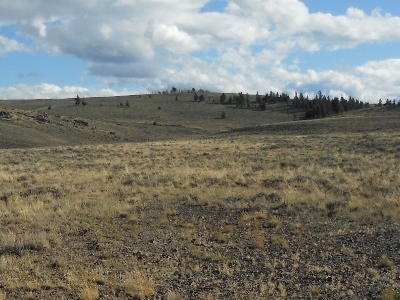 Ninemile Hill