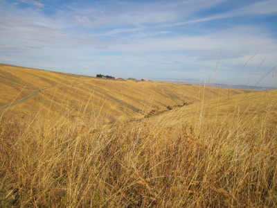 Flerchinger Ridge