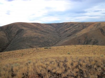Rubenser Ridge