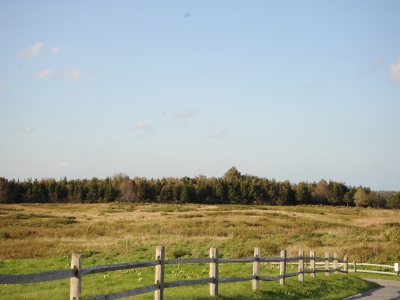 Skiff Hill